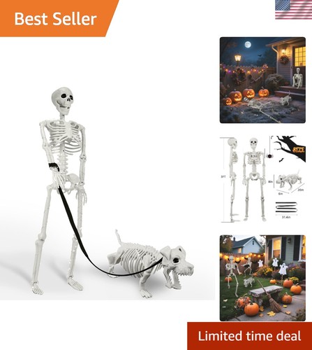 Lighted human dog skeleton - lighted,